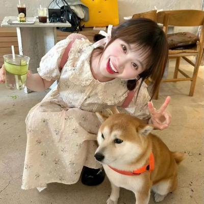 花花公子吉米