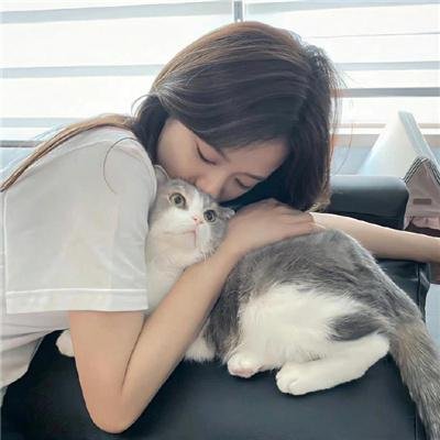 狗的审判